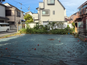 地縄張り